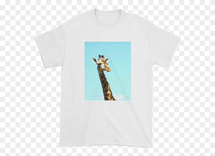 581x552 Жираф, Одежда, Одежда, Жираф Png Скачать