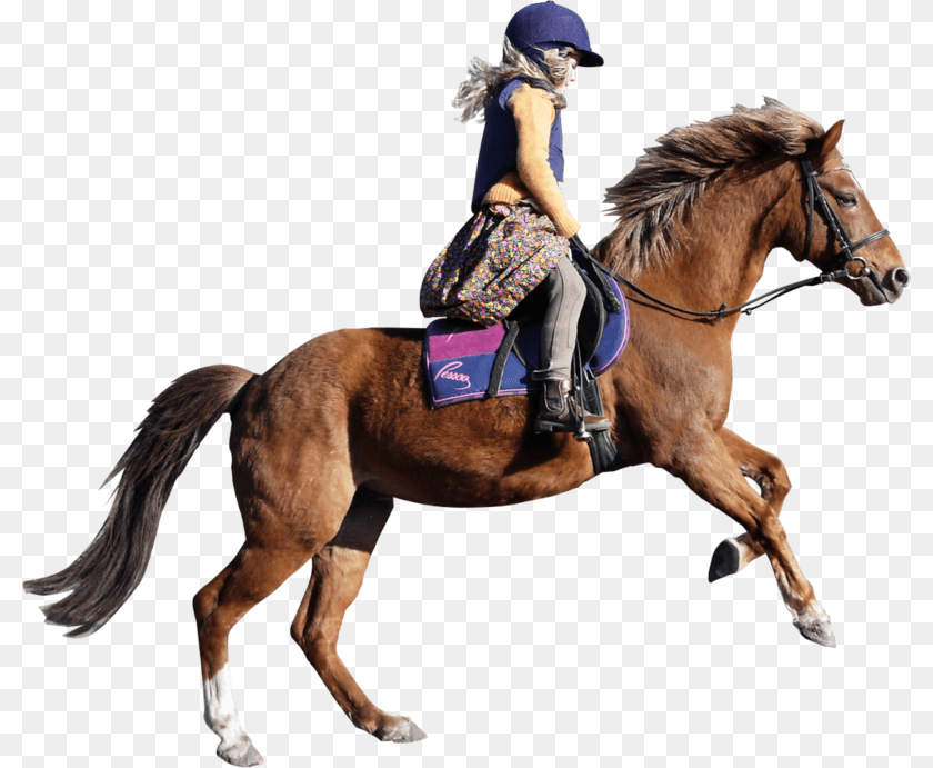 800x691 Girl Horse, Adult, Person, Woman, Female Clipart PNG