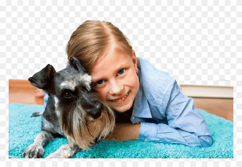 880x587 Girl With Schnauzer Schnauzer Con, Person, Human, Animal HD PNG Download