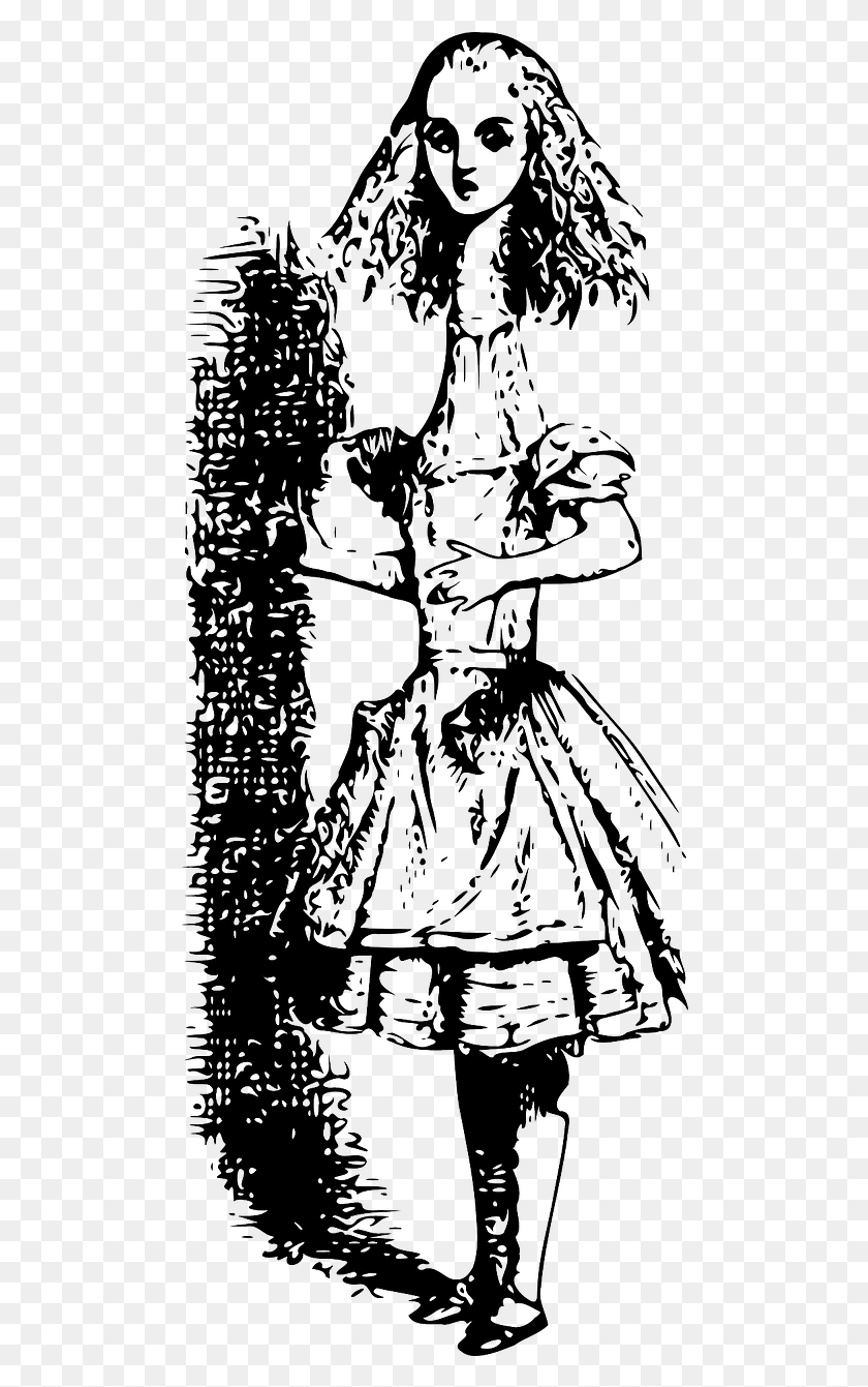 496x1281 Girlmissyoung In Wonderlandalice Ilustraciones De Alicia En El Pais De Las Maravillas, Person, Clothing HD PNG Download