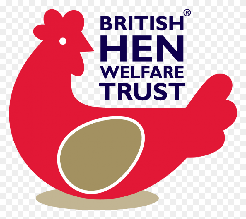 829x732 Giving Battery Hens A Fresh Start In Life With Help British Hen Welfare Trust, Animal, Bird, Text HD PNG Download