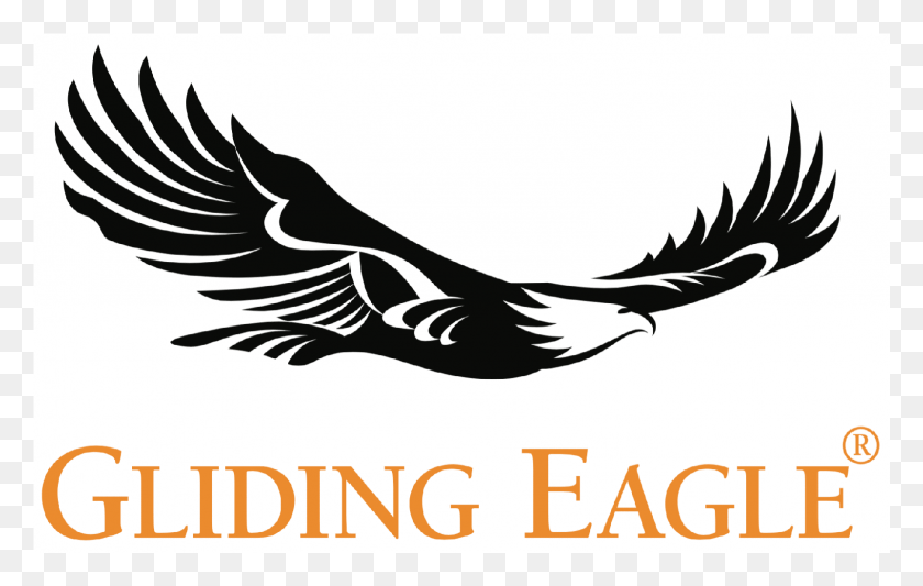 1603x973 Gliding Eagle, Bird, Animal, Symbol HD PNG Download