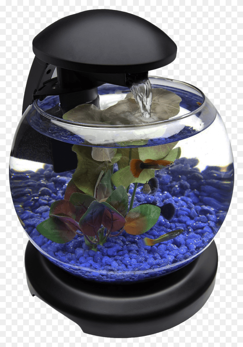949x1381 Аквариум Glob Fish Tank Прозрачное Изображение Аквариумный Аквариум, Вода, Шлем, Одежда Hd Png Скачать