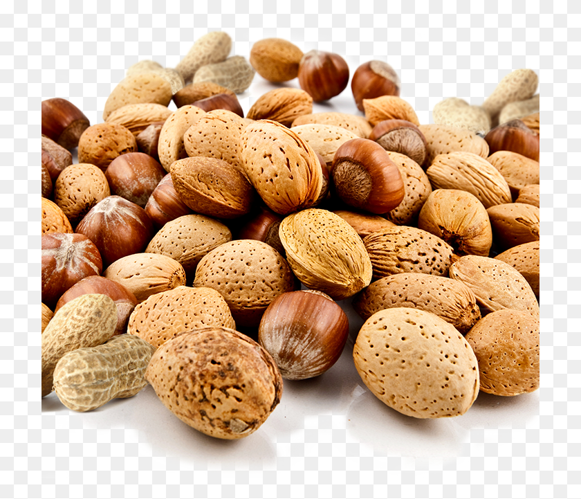 720x661 Global Nut Ingredients Market Industry Trends And Forecast Foods To Reduce Aging, Plant, Vegetable, Food HD PNG Download