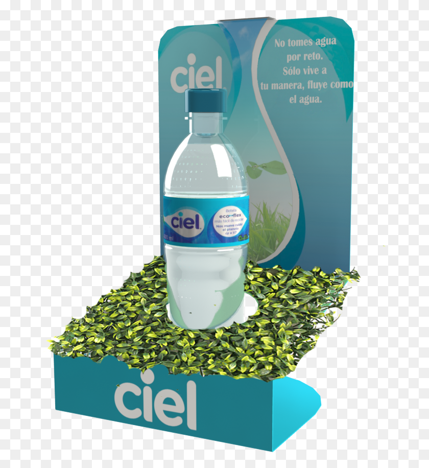 678x856 Glorificador Para Botella Personal On Behance Fiji Cartoon, Bottle, Milk, Beverage HD PNG Download