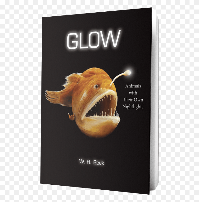 502x790 Glow Book On Transparent Background Glow Animals With Their Own Night Lights, Fish, Animal, Sea Life HD PNG Download