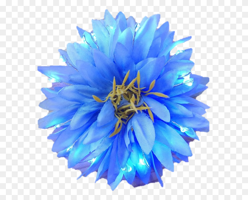 589x617 Glow Hair Flowers In Hair Festival Fashion Clubwear Glowing Blue Flower Transparent, Pollen, Plant, Flower HD PNG Download