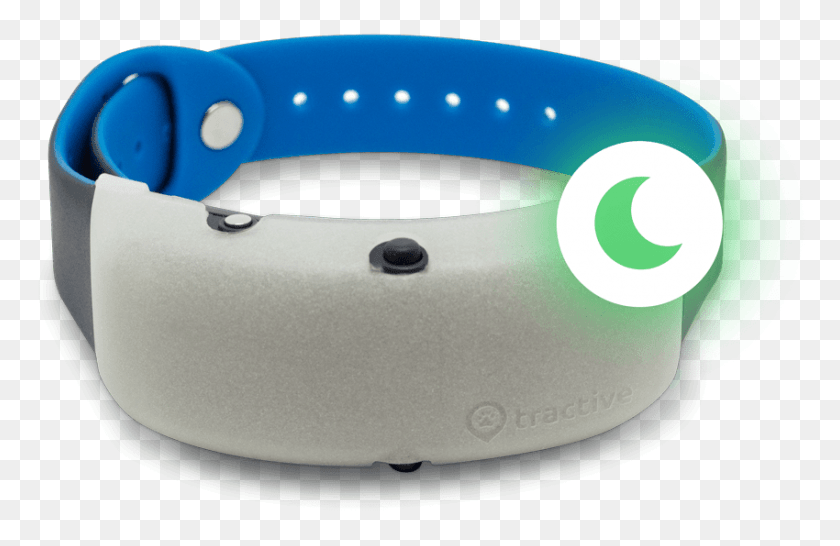 850x530 Glow In The Dark Bracelet, Mouse, Hardware, Computer HD PNG Download