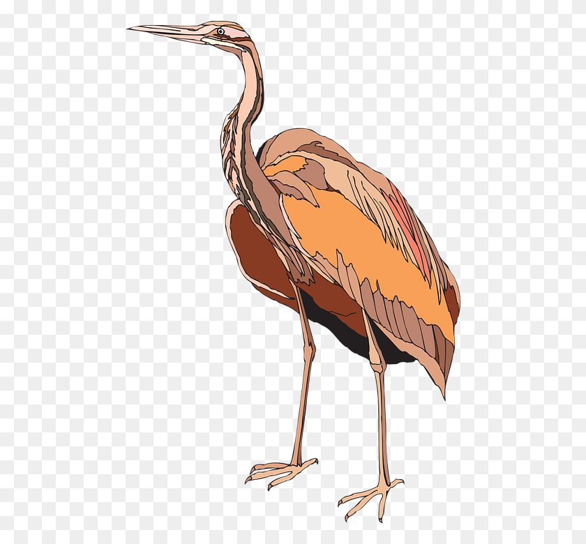 480x720 Flamingo Png / Pájaro Png