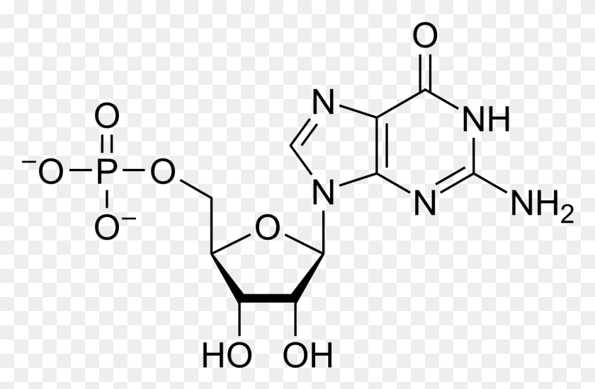 1261x793 Gmp Chemical Structure Pyridoxamine Phosphate, Gray, World Of Warcraft HD PNG Download