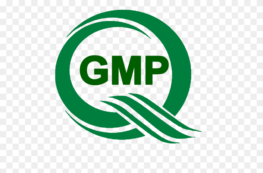 495x494 Логотип Gmp Thai, Зеленый, Этикетка, Текст Hd Png Скачать