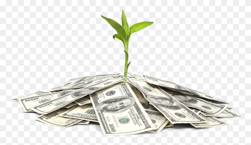 1336x730 Gna Funding Services Cannabis Business Money, Dollar HD PNG Download