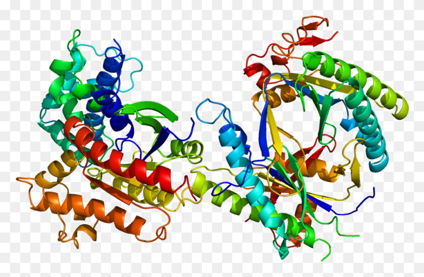 956x599 Gnas Protein, Неон, Свет, Узор Hd Png Скачать