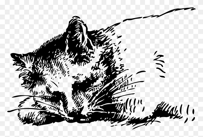 2400x1556 Gnu Clipart Sleeping Real Sleeping Cats Black And White Clipart, Gray, World Of Warcraft HD PNG Download