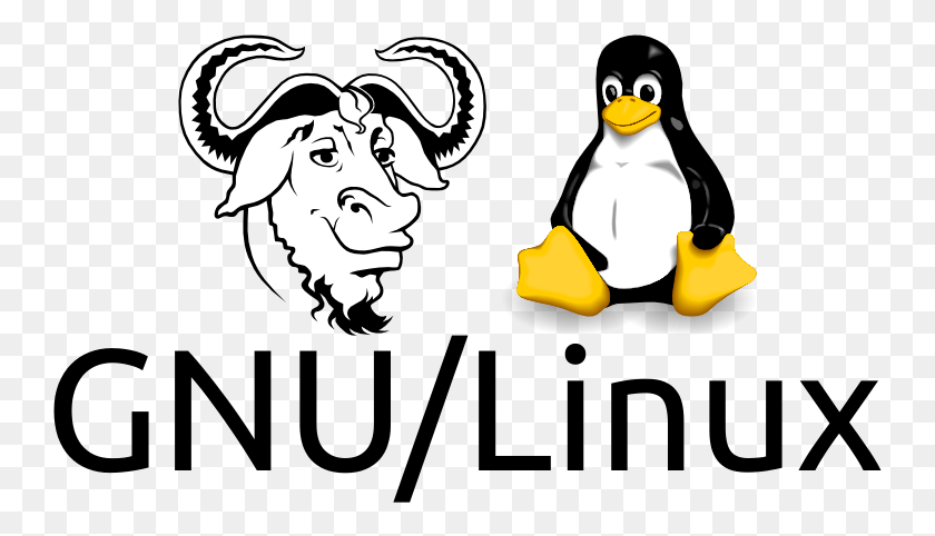 745x422 Gnulinux Sistema Operativo Gnu Linux, Человек, Человек, Снеговик, Hd Png Скачать