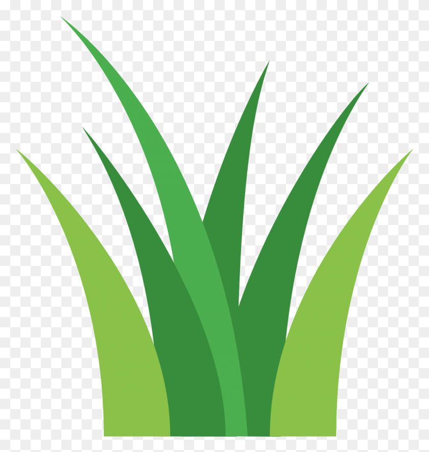 1200x1268 Go To Image Green Grass Icons, Plant, Produce, Food HD PNG Download