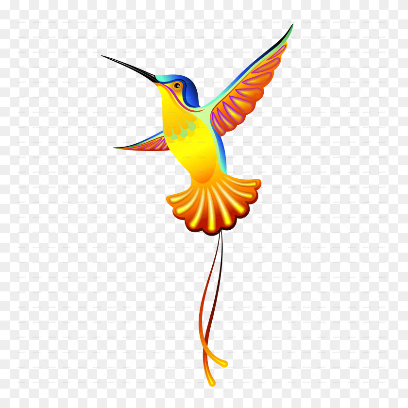 5000x5000 Go To Image Hummingbird Exotic Design, Bird, Animal, Flying HD PNG Download