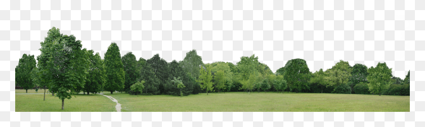 2990x735 Go To Image Line Of Trees Background, Grass, Plant, Lawn HD PNG Download