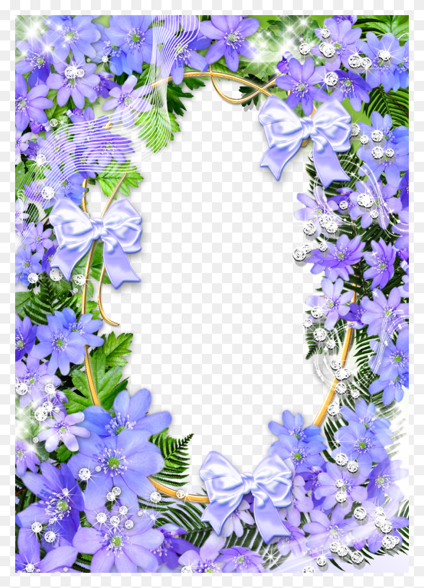 900x1273 Go To Image Purple Flowers Frame, Plant, Text, Number HD PNG Download