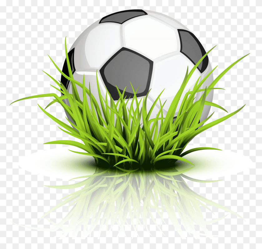 2400x2272 Go To Image Soccer Ball Grass Transparent, Ball, Soccer, Football HD PNG Download