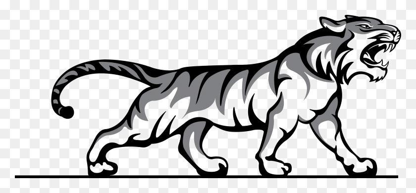 4065x1723 Go To Image Tiger White Logo, Animal, Mammal, Stencil HD PNG Download