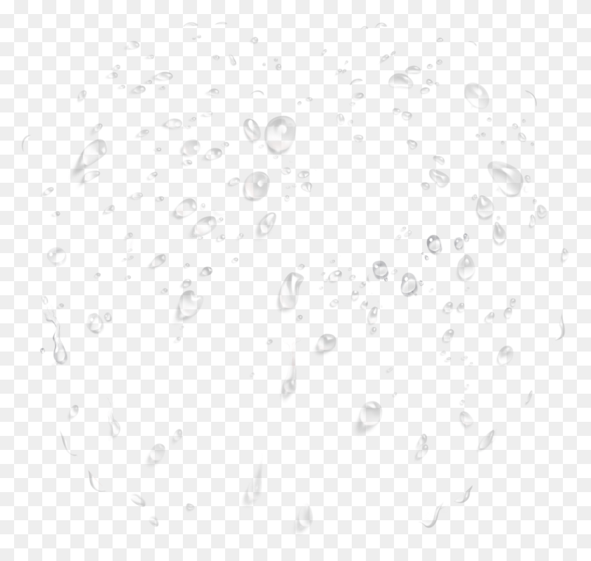 1951x1846 Go To Image Water Droplets Stock, Droplet, Paper, Honey Bee HD PNG Download