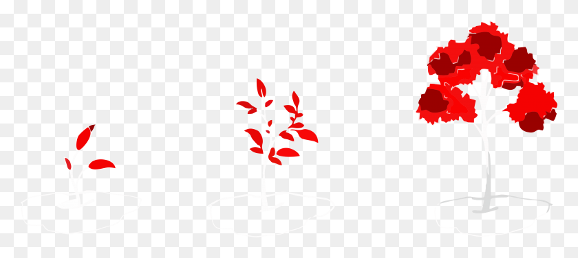 3786x1538 Png Роза, Лист, Растение, Графика Hd Png Скачать