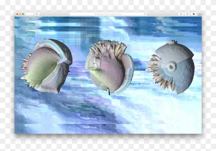 1421x963 Go To The Work Shell, Outdoors, Nature, Sea Life HD PNG Download