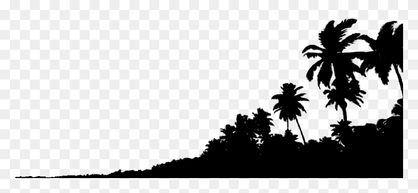 1001x421 Goa Beach Silhouette 1 Silhouette, Gray, World Of Warcraft HD PNG Download