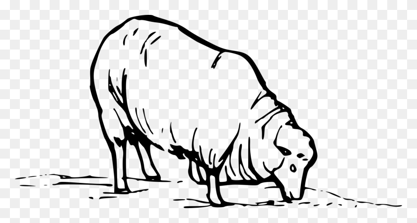 1499x750 Goat Bighorn Sheep Merino Dall Sheep Drawing Sheep Clip Art, Gray, World Of Warcraft HD PNG Download