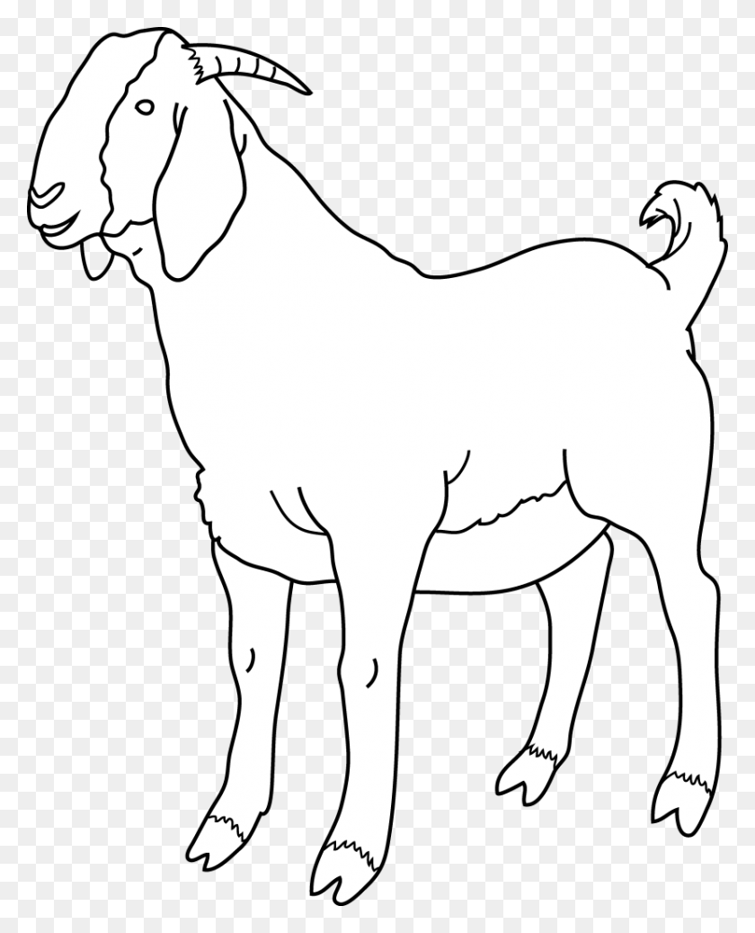 830x1040 Goat Clipart Transparent Background Boer Goat Coloring Pages, Mammal, Animal, Person HD PNG Download