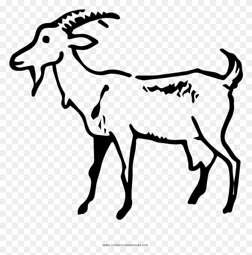 860x869 Goat Coloring, Gray, World Of Warcraft HD PNG Download