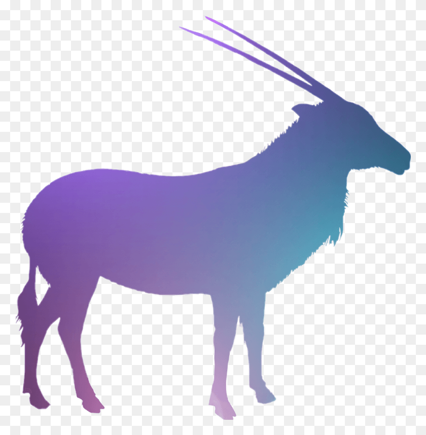 1024x1048 Goat Galaxy Livestock, Mammal, Animal, Antelope HD PNG Download