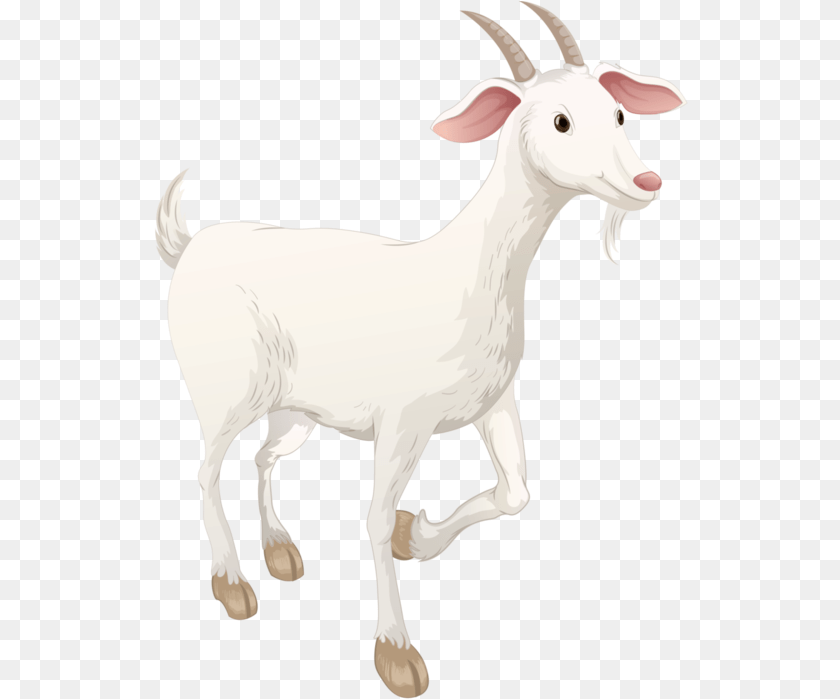 535x699 Goat Goat, Livestock, Animal, Mammal, Cattle Sticker PNG