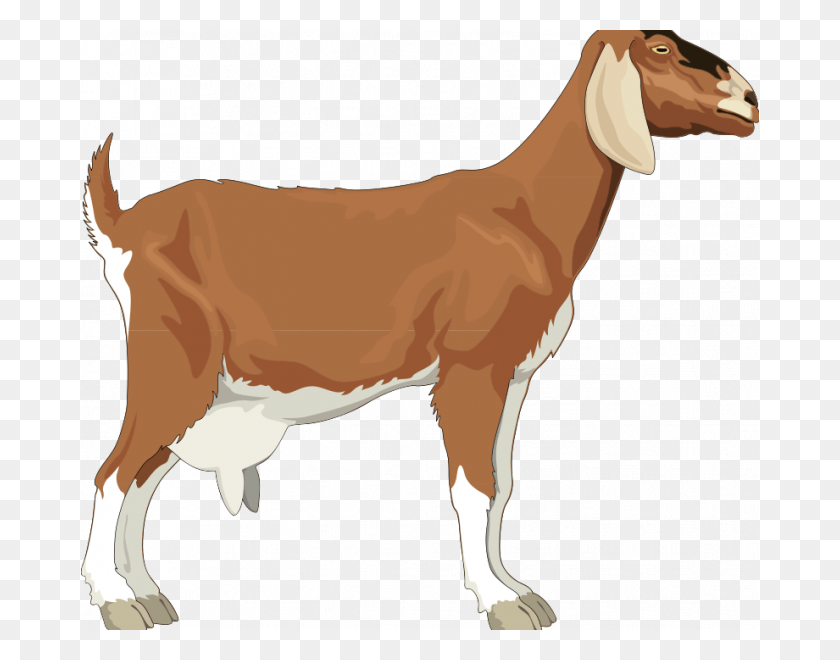 678x600 Goat Pictures Free Goat Free Vector 4vector Simple Goat Clipart, Mammal, Animal, Horse HD PNG Download
