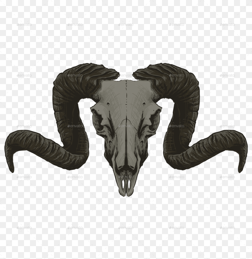 1489x1530 Goat Skull Goat Skull, Animal, Kangaroo, Mammal Clipart PNG