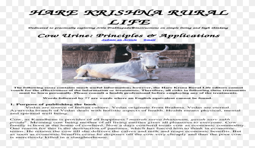 917x501 Goats, Bull, Mammal, Animal HD PNG Download