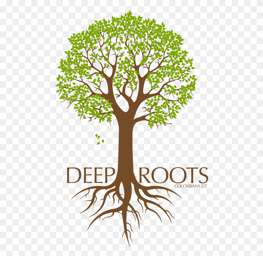 493x757 Going Deeper In 2019 Freedom In Christ Church, Plant, Tree, Root HD PNG Download