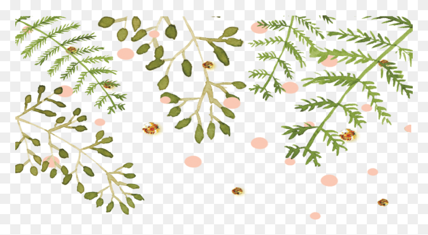 1024x527 Gold And Green Flowers, Plant, Tree, Produce HD PNG Download