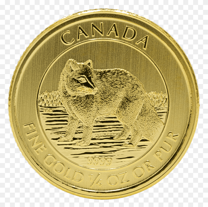 1648x1644 Gold Canadian Arctic Fox 14 Oz Coin, Money, Cat, Pet HD PNG Download