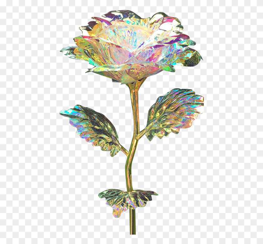 462x719 Gold Dipped Rose Rose, Plant, Flower, Blossom Descargar Hd Png