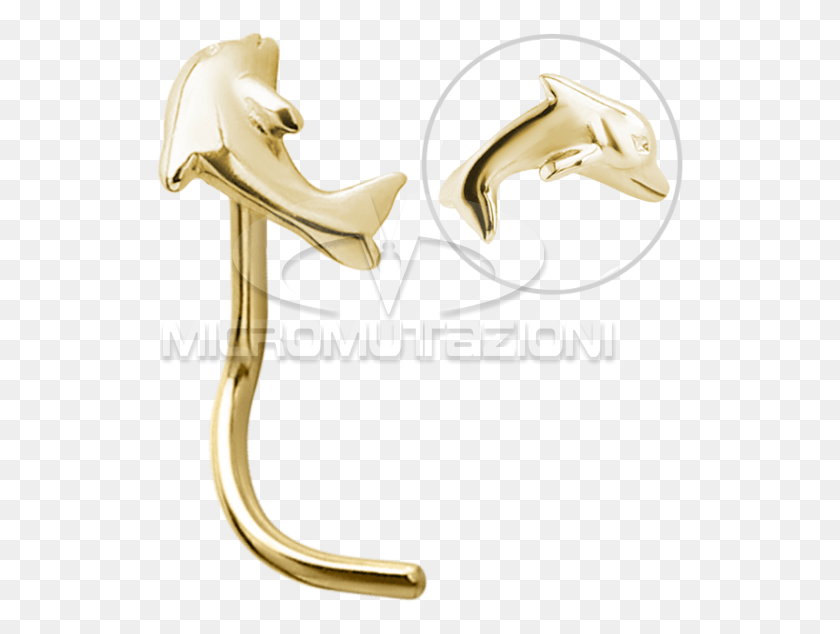 527x574 Gold Dolphin Nose Stud Common Bottlenose Dolphin, Skeleton HD PNG Download
