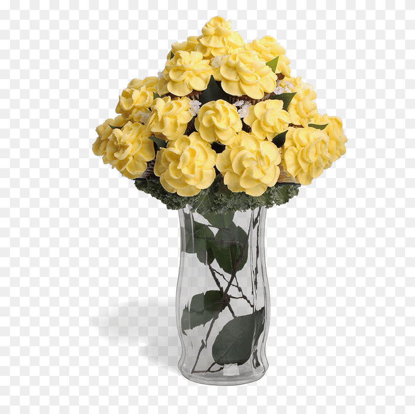 571x777 Gold Doublooms Garden Roses, Plant, Flower, Blossom HD PNG Download