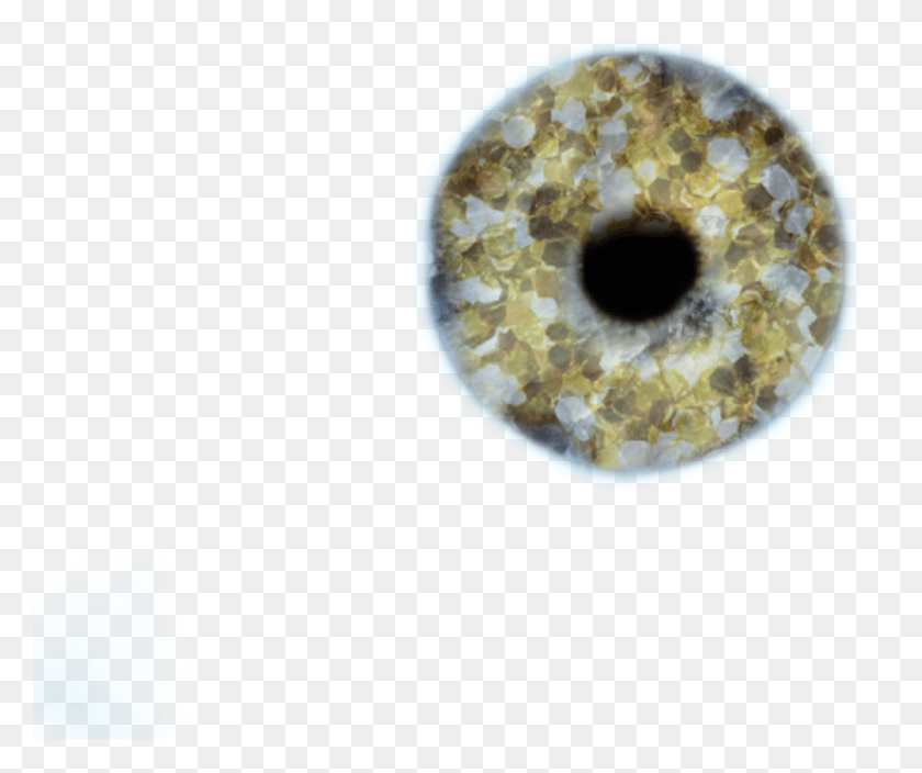 1024x846 Gold Eye Lens Circle, Accessories, Accessory, Mineral HD PNG Download