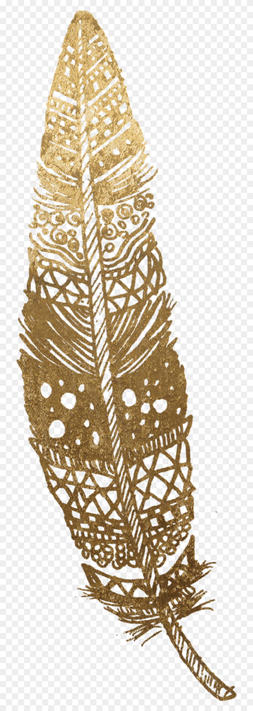 737x2299 Gold Feather Motif, Soil, Pineapple, Fruit HD PNG Download