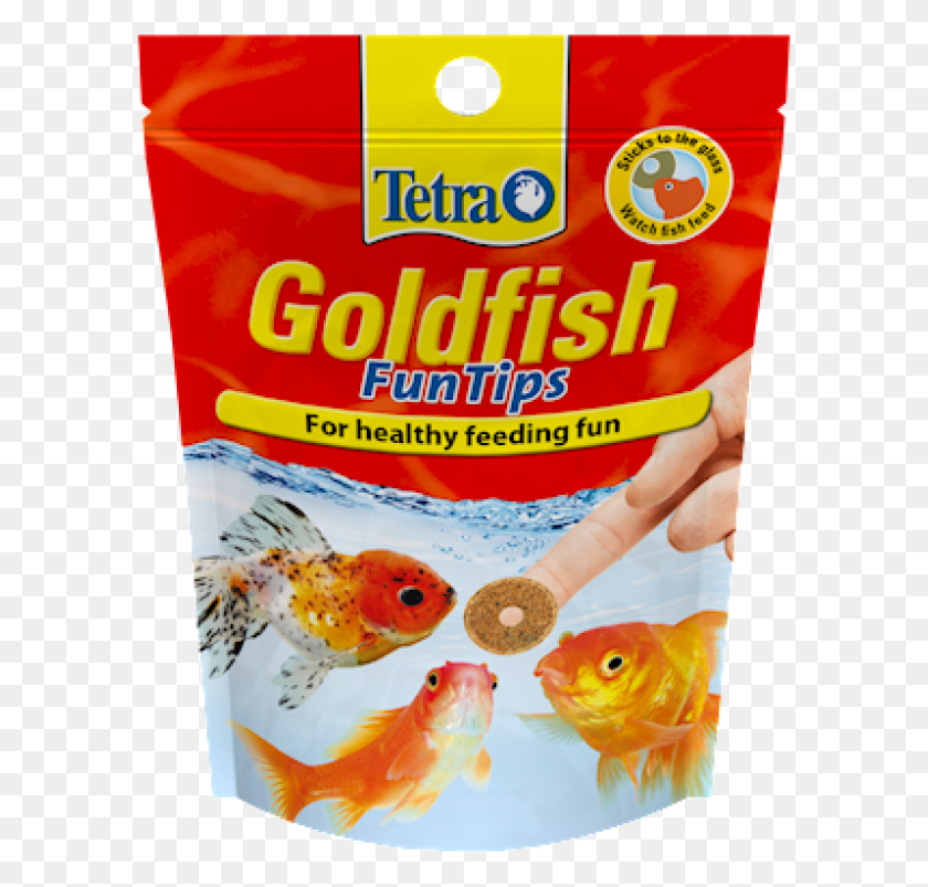 593x743 Gold Fish, Goldfish, Animal HD PNG Download