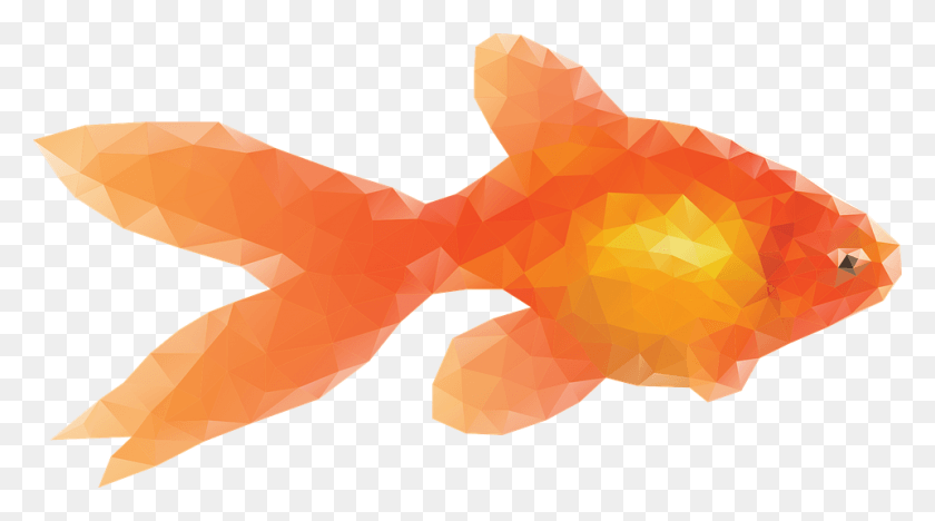 960x503 Gold Fish Clipart Sunglasses Low Poly Goldfish, Animal, Skin, Coho HD PNG Download