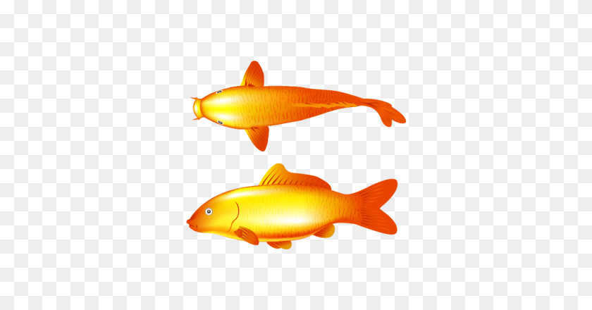 Gold Fish Vector And Transparent The Graphic Cave, Animal, Sea Life, Goldfish Sticker PNG