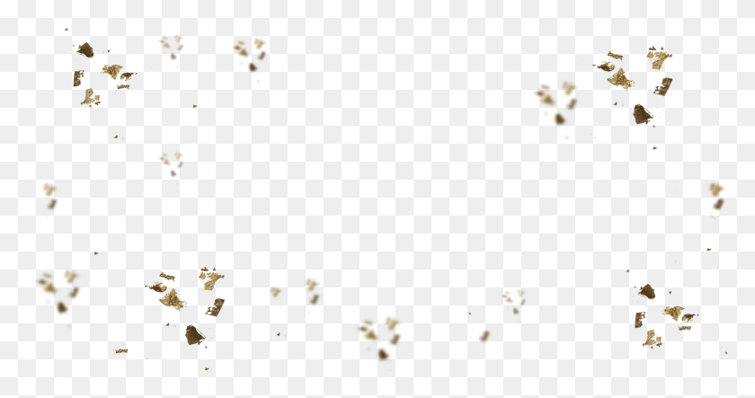 2442x1200 Descargar Png / Copos De Oro De Insectos, Papel, Super Mario Hd Png