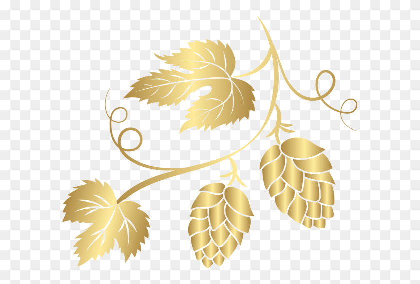 593x508 Gold Hop Transparent Clip Art Image Clip Art Hops, Leaf, Plant, Graphics HD PNG Download